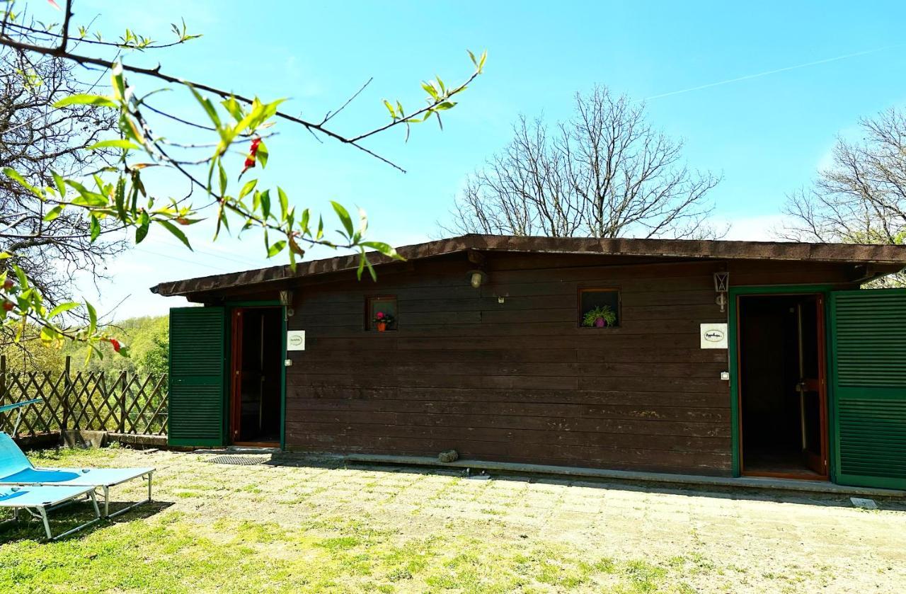 Night In The Wood Sorbo Villa Campagnano Di Roma Exterior photo